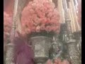 dolores-carrera-darro-2008.html