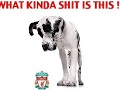 YOU SCOUSE BASTARDS