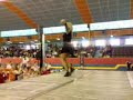 エアロビクス動画