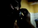 Trote Trote