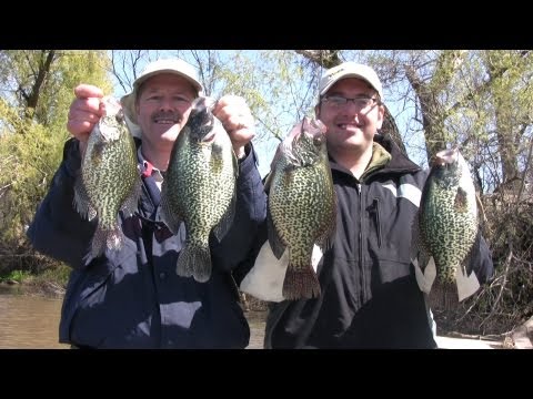 How to Fish for Huge Slab Crappies using Live Bait (Minnows)