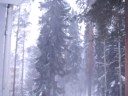 Snowstorm(blizzard) in Kouvola Finland part 2 Snowstorm(blizzard) in Kouvola Finland part 2
