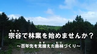 相談18186に関連する動画