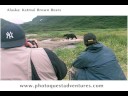 Photo Quest Adventures Alaska: Katmai Brown Bears