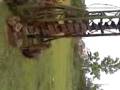 videos de moto_0131.3gp