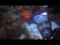 Pedernales, Bahia de las Aguilas Scuba Diving Trip 2008