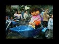 Harley Davidson Tours - Sightseeing - Melbourne Australia Harley Davidson Tours - Sightseeing - Melbourne Australia