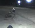 allen bronder at vics