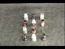 缶でコマ撮り-Stop motion with Cans-