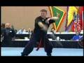 Richard Lee's Demo Team 2001 - Part 1