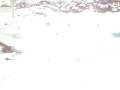 videos de Snowboard. Les Menuires.