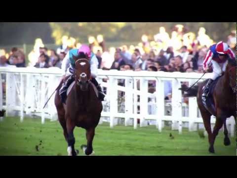 frankel - Made for the final BBC Horseracing Broadcast and voiced by Steven Berkoff, this tells the story of Frankel and his legendary bloodline.