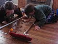 Frog races 2 Frog races 2