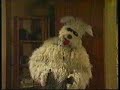 Dog Whine