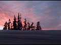 Archibald Hoyle - Coffinberry (Mount Washington)