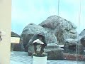 bald-eagle-duck-dinner.html