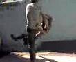 Briga na escola(doidera_)