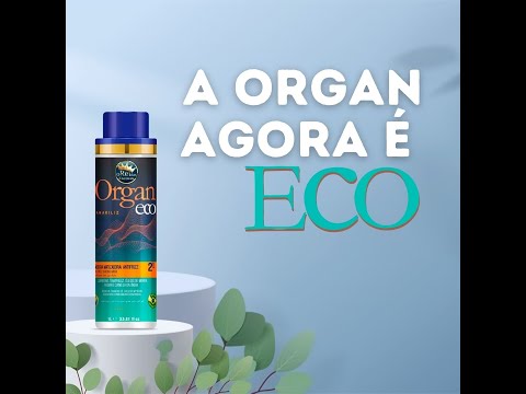 O Rei das Escovas Organ Eco Tamariliz Lissage Brésilien 2x1000ml