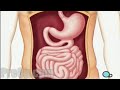 on.fb.me -NEW facebook page - it's cool! Patient Education Company Your doctor has recommended that you have an upper GI endoscopy. But what does that actually mean? An upper GI endoscopy is a diagnostic procedure used by your doctor to inspect the inside of your throat, esophagus, stomach and upper intestine. While it's considered a surgical procedure, endoscopy does not involve an incision. Instead, your doctor will pass a flexible tube, called an endoscope through your mouth and into your stomach and digestive tract. This tube has a tiny video camera mounted on its tip, it also contains a small tool used for taking tissue samples. Because the passageway from the mouth to the opening of the small intestine is usually unobstructed, your doctor can use the endoscope to inspect the entire upper half of your digestive system. Reasons for undergoing an upper GI endoscopy vary. You may have been suffering from one or more of a number symptoms - including weight loss, abdominal pain, chronic heartburn or indigestion, gastritis, hiatal hernia, trouble swallowing, pain caused by an ulcer or other problems associated with the stomach and digestive system. Some gastrointestinal symptoms can be warning signs of serious medical problems and you should take your doctor's recommendation to have an endoscopy very seriously. Luckily, the vast majority of medical problems diagnosed by endoscopy are treatable and you should look forward to improved health and comfort as a result of the <b>...</b>