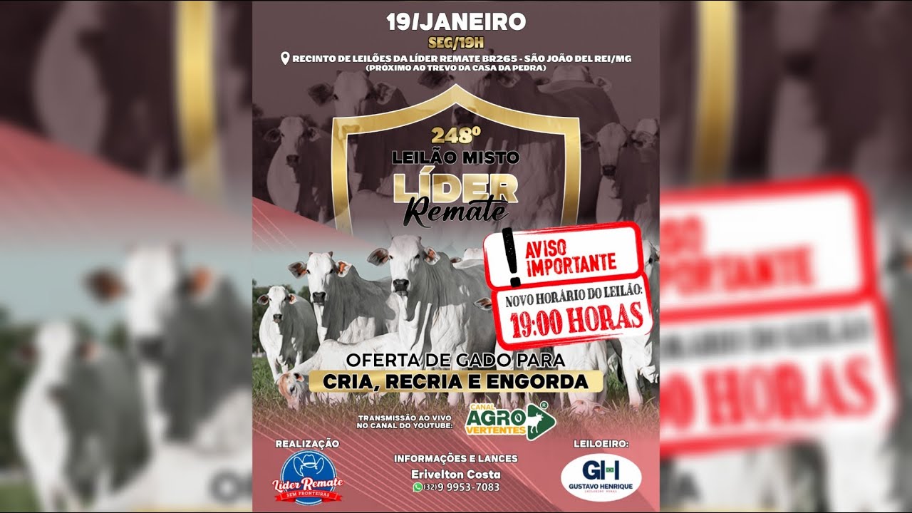 248º LEILÃO MISTO LÍDER REMATE - 19/01/2026