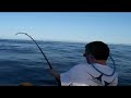 Record Dorado MAHI MAHI 30lb TEST OFF CABO