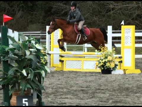 horses grand national