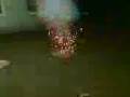 videos de Eimer Sause :-)