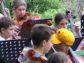 le chant des oiseaux