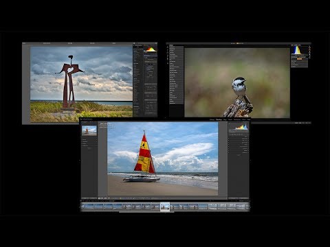 5 Differences Between Lightroom, Luminar, and On1