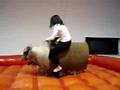 Bullridin' J.B.