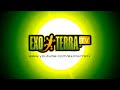 Exo Terra - Réunion Island 2006: Phelsuma inexpectata