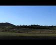 CORC Dirt Crit Race Stromlo