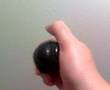 videos de The Pooter
