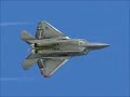 raptor in the afternoon