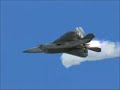 Raptor In The Afternoon