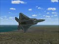 raptor in the afternoon