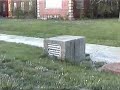 Manteno State Hospital Trilogy 2