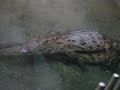 Zoo Basel - Zoo Basel -