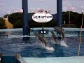 Espectáculos de Delfines