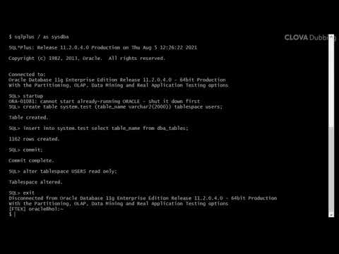 HOL 7 유튜브 링크