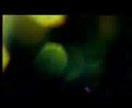 Underworld | Cowgirl (live) Underworld | Cowgirl (live)