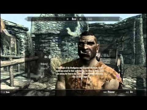 how to decide what race to be in skyrim