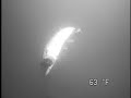 Northern pike hits a lure twice!!