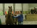 Gert van den Hof Zadelmak maken deel 3 manege Bakker