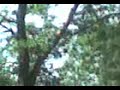 nunta-la-valoare-arg