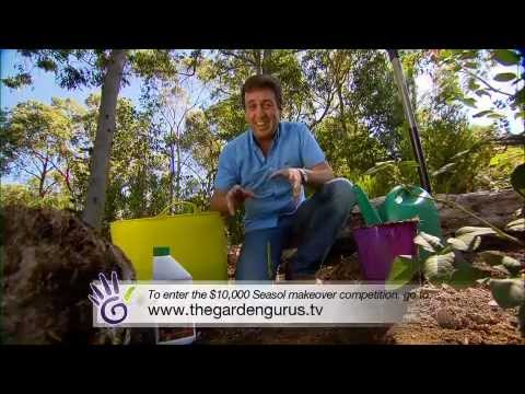 how to avoid transplant shock