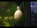 Diy CO2 and Reactor Diy CO2 and Reactor