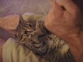Cory and Sparta Playing