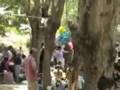 Ba�konak Sug�z� Festivali 2006 Amat�r �al��ma