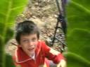 Vindima 2008 - Dalvares